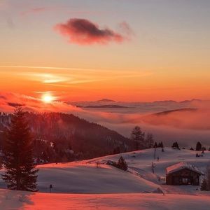 Meet your Posher, Tashanti